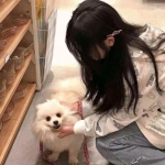 战争史诗2危机游戏下载